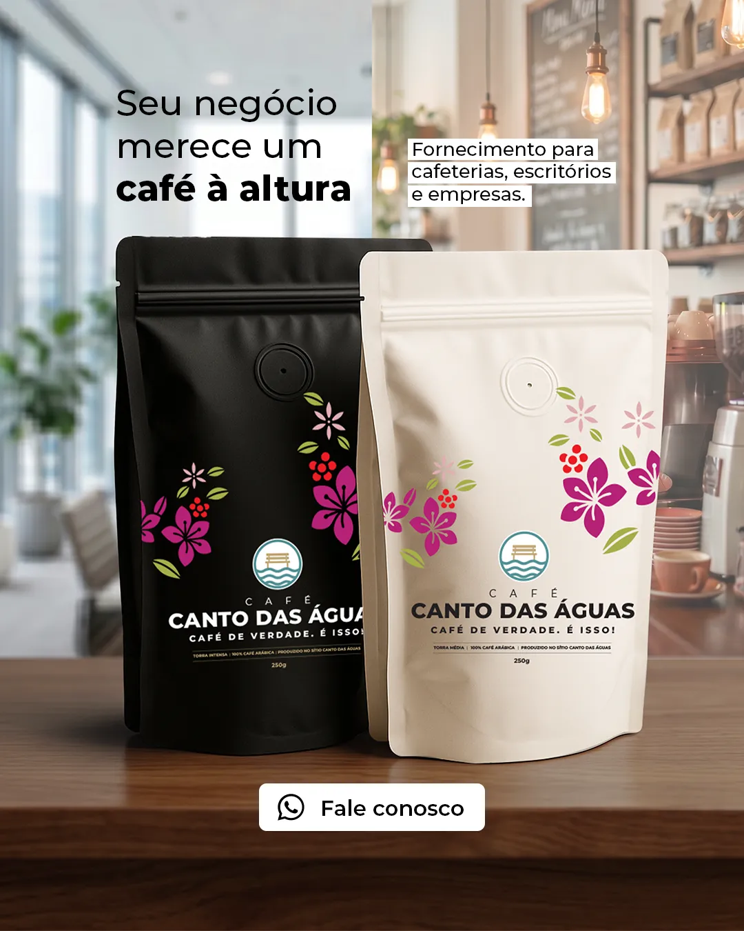 Criativo B2B do Café Canto das Águas.